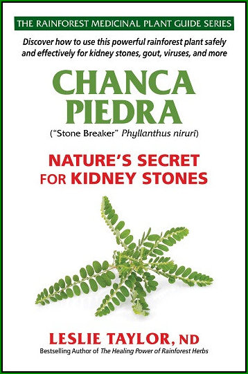Chanca Piedra: Nature's Secret for Kidney Stones