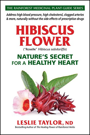 Hibiscus Flower - Nature's Secret for a Healthy Heart