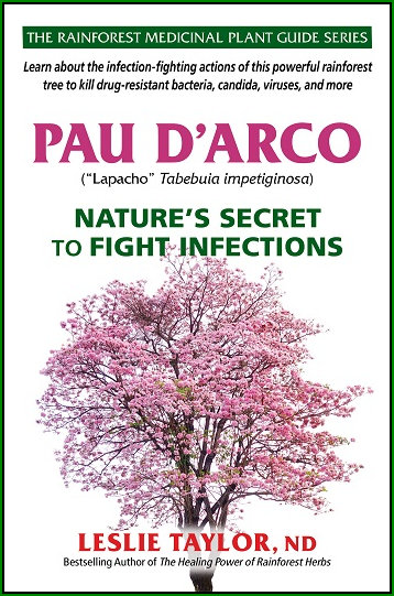 Pau d'arco: Nature's Secret to Fight Infection